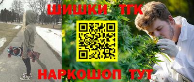 мет Новозыбков