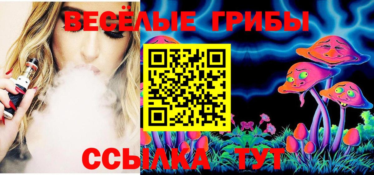 Свободный  Галлюциногенные грибы мицелий  Вход с VPN  Галлюциногенные грибы мицелий 